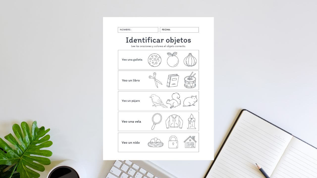 Plantilla para Identificar Objetos en PDF Imprimible